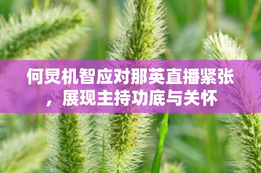 何炅机智应对那英直播紧张图片