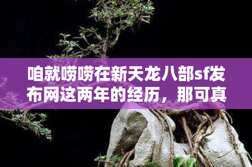 咱就唠唠在新天龙八部sf发布网这两年的经历图片