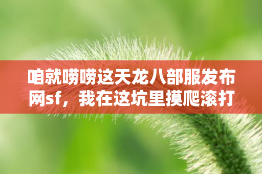 咱就唠唠这天龙八部服发布网sf图片