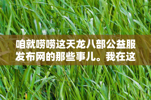 咱就唠唠这天龙八部公益服发布网的那些事儿图片