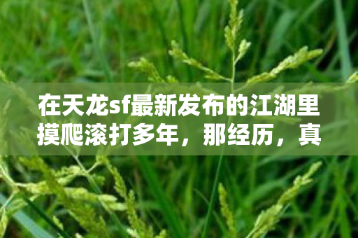 在天龙sf最新发布的江湖里摸爬滚打多年图片