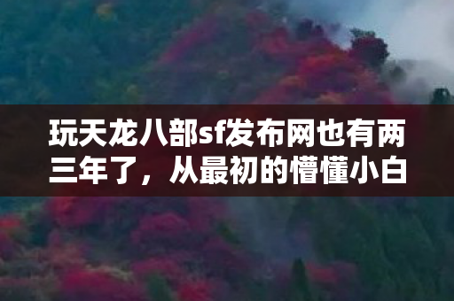 今天就来和大家唠唠我在这游戏里踩过的坑图片