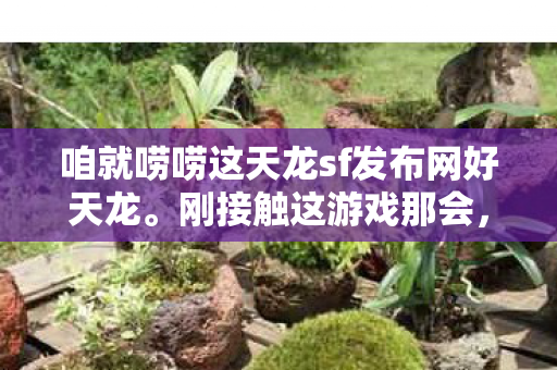 咱就唠唠这天龙sf发布网好天龙图片