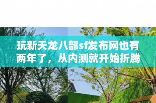 玩新天龙八部sf发布网也有两年了图片