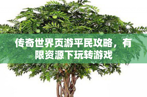 传奇世界页游平民攻略图片