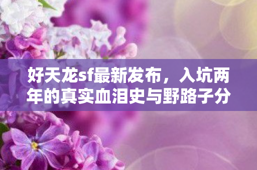 入坑两年的真实血泪史与野路子分享天龙八部私服图片