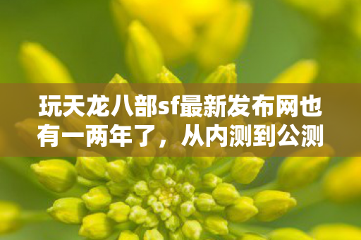 玩天龙八部sf最新发布网也有一两年了图片
