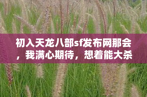初入天龙八部sf发布网那会图片