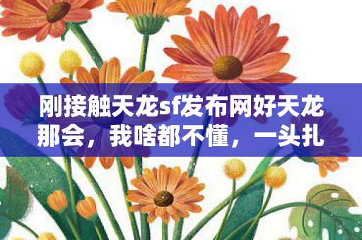 刚接触天龙sf发布网好天龙那会图片