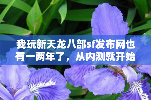 我玩新天龙八部sf发布网也有一两年了图片
