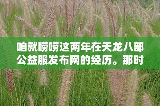 咱就唠唠这两年在天龙八部公益服发布网的经历图片