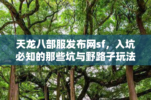 入坑必知的那些坑与野路子玩法大揭秘天龙八部私服图片