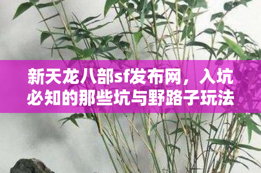 入坑必知的那些坑与野路子玩法揭秘天龙八部私服图片