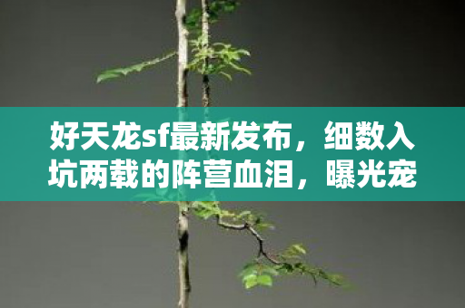 曝光宠物与技能大坑天龙私服图片