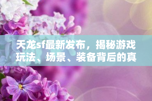 装备背后的真相与陷阱天龙私服图片