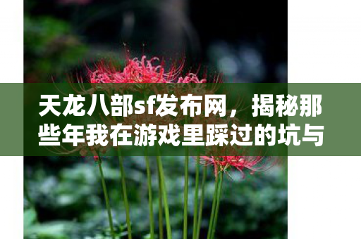 揭秘那些年我在游戏里踩过的坑与摸出的野路子天龙八部私服图片