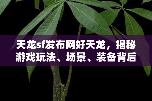 装备背后的那些事儿天龙私服图片