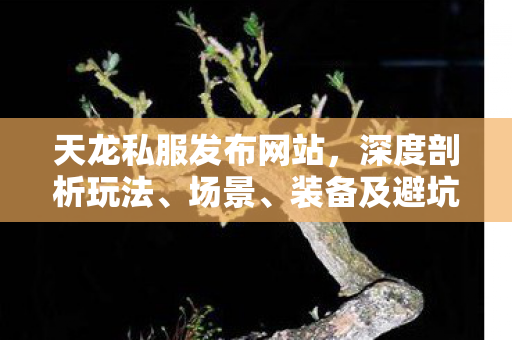 装备及避坑指南天龙八部私服图片