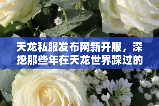 深挖那些年在天龙世界踩过的坑与摸出的门道天龙私服图片
