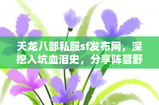 分享阵营野路子玩法天龙八部私服图片
