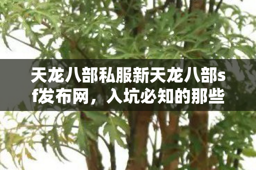 入坑必知的那些坑与野路子天龙八部私服图片