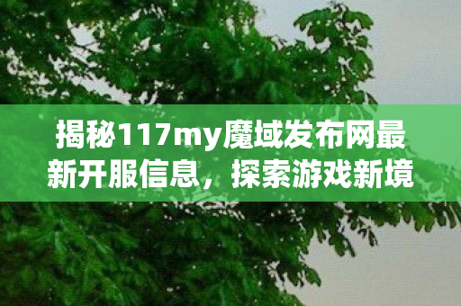 揭秘117my魔域发布网最新开服信息图片