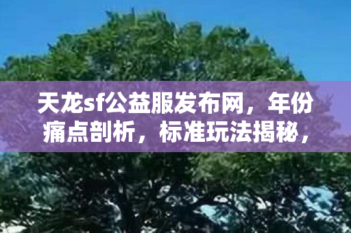 排名大公开警告避坑天龙私服图片