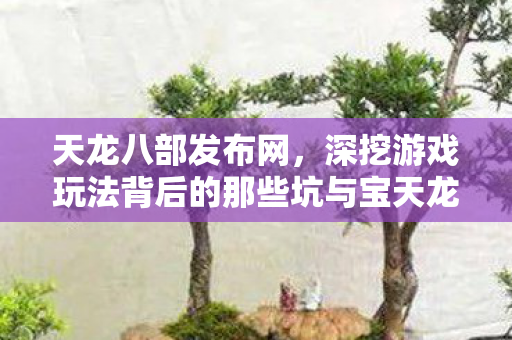 深挖游戏玩法背后的那些坑与宝天龙私服图片
