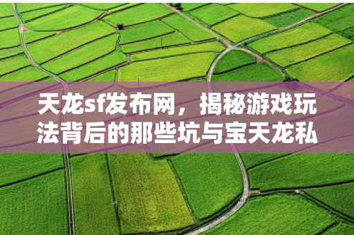 揭秘游戏玩法背后的那些坑与宝天龙私服图片