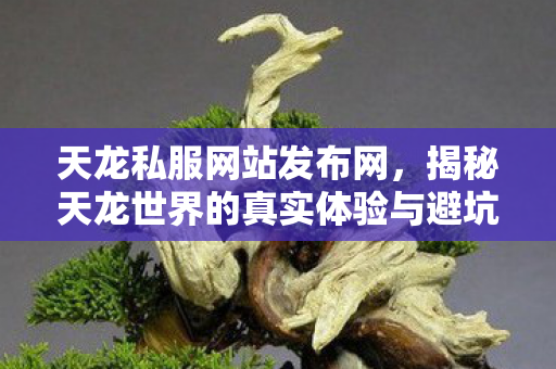 揭秘天龙世界的真实体验与避坑指南天龙私服图片