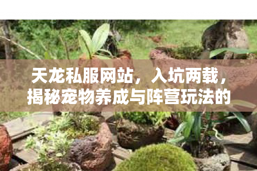 揭秘宠物养成与阵营玩法的血泪真相天龙八部私服图片