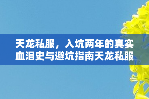 入坑两年的真实血泪史与避坑指南天龙私服图片