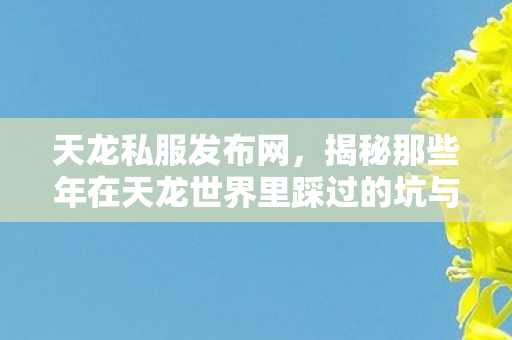 揭秘那些年在天龙世界里踩过的坑与摸出的野路子天龙私服图片