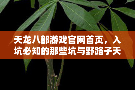 入坑必知的那些坑与野路子天龙八部私服图片