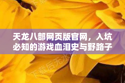 入坑必知的游戏血泪史与野路子玩法天龙八部私服图片