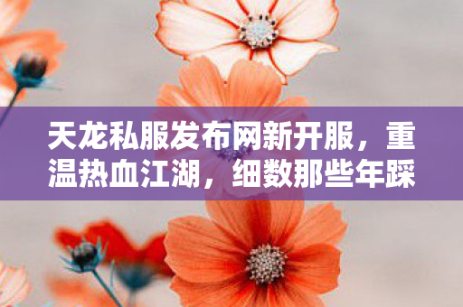 细数那些年踩过的坑与摸出的野路子天龙私服图片