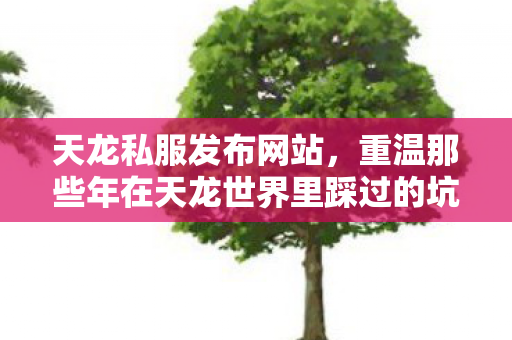 重温那些年在天龙世界里踩过的坑与摸出的野路子天龙私服图片