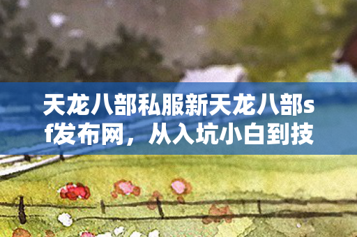 从入坑小白到技能达人的蜕变之路天龙私服图片
