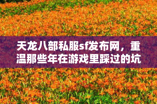 重温那些年在游戏里踩过的坑与摸出的野路子天龙八部私服图片