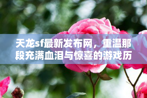 重温那段充满血泪与惊喜的游戏历程天龙私服图片