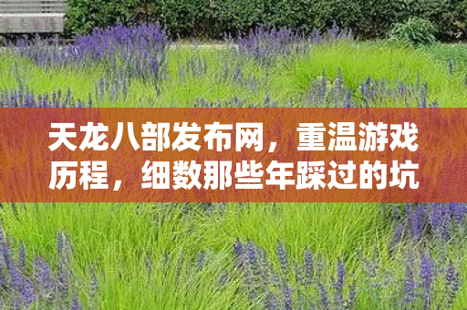 细数那些年踩过的坑与摸出的野路子天龙私服图片