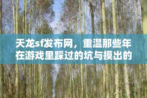 重温那些年在游戏里踩过的坑与摸出的野路子天龙八部私服图片