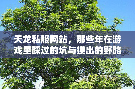 那些年在游戏里踩过的坑与摸出的野路子天龙八部私服图片
