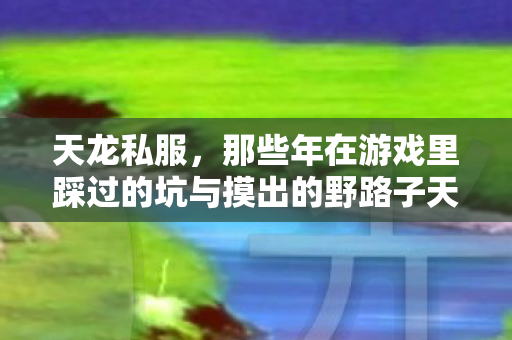 那些年在游戏里踩过的坑与摸出的野路子天龙八部私服图片