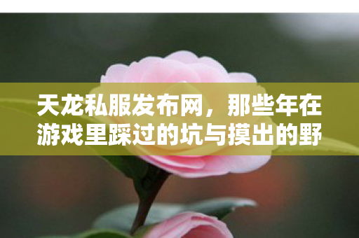 那些年在游戏里踩过的坑与摸出的野路子天龙私服图片