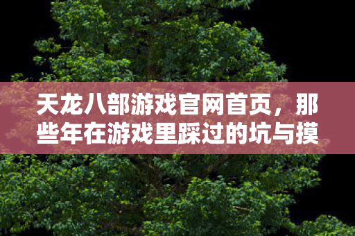 那些年在游戏里踩过的坑与摸出的野路子天龙私服图片