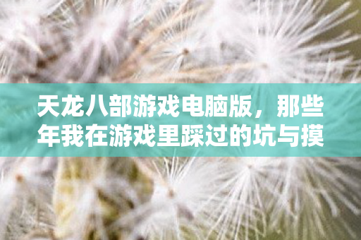 那些年我在游戏里踩过的坑与摸出的野路子天龙八部私服图片