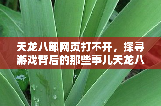 探寻游戏背后的那些事儿天龙八部私服图片