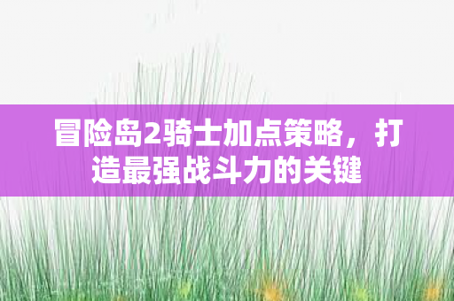 冒险岛2骑士加点策略图片