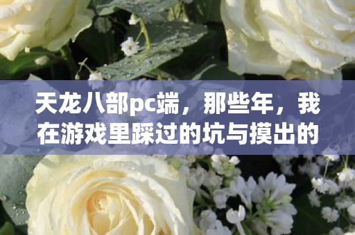 我在游戏里踩过的坑与摸出的野路子天龙私服图片